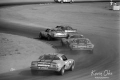 1975-Riverside-International-Raceway-IROC-490