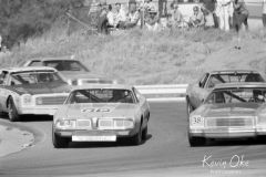 1976-Riverside-International-Raceway-Winston-Western-500-NASCAR-132