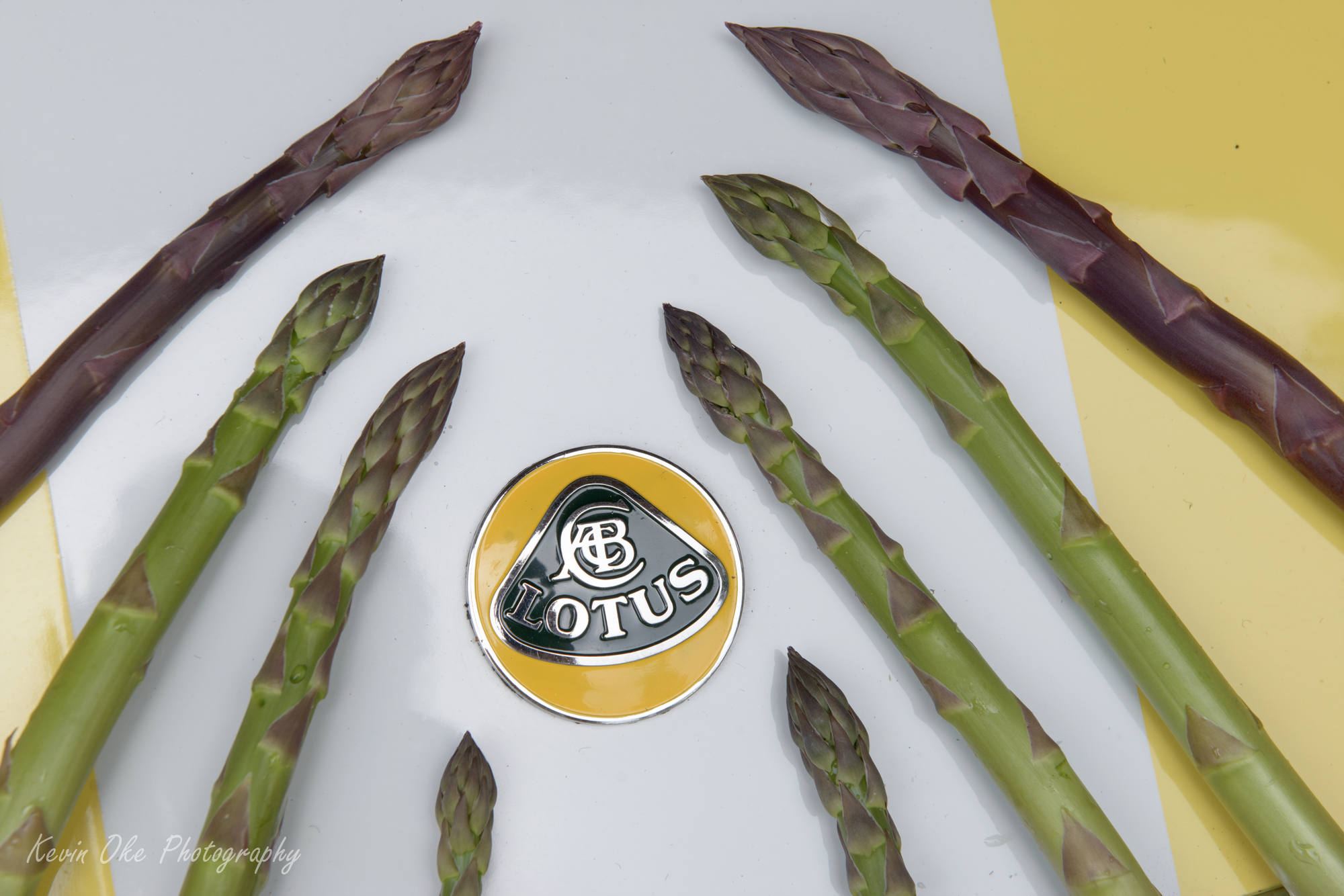 Lotus emblem with asparagus wreath