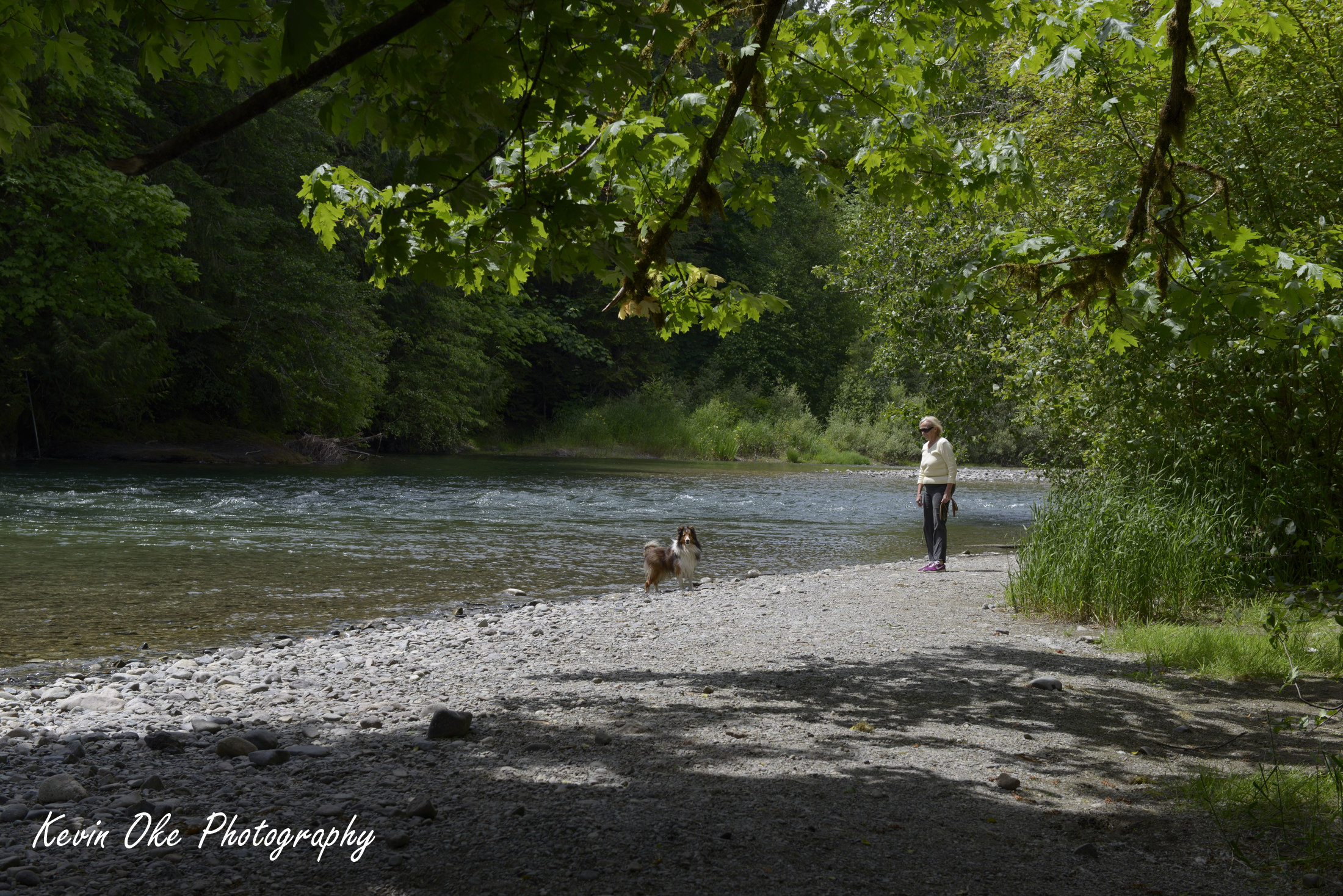 Visiting the Cowichan River