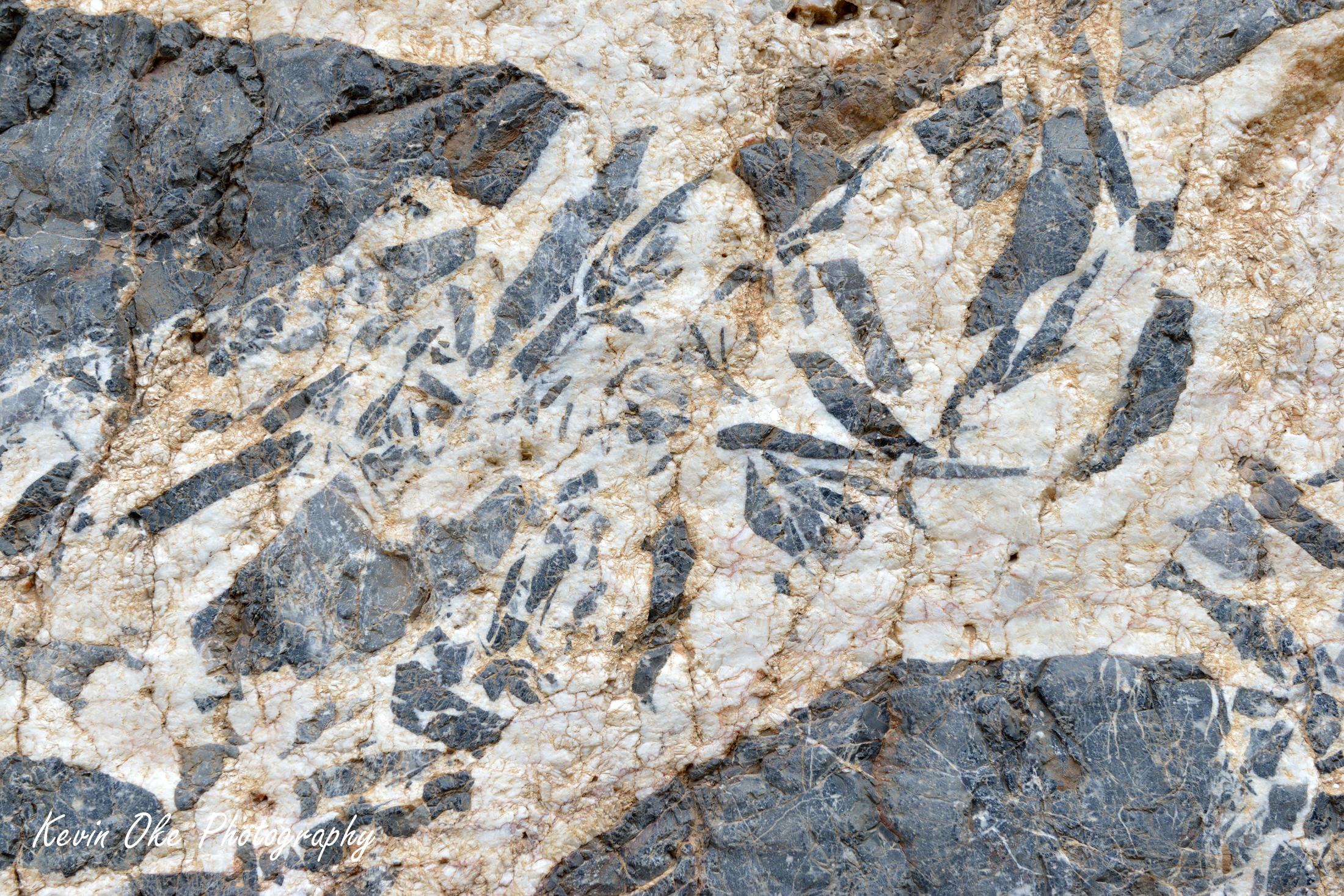 Abstract rock face, Titus Canyon, Death Valley, California