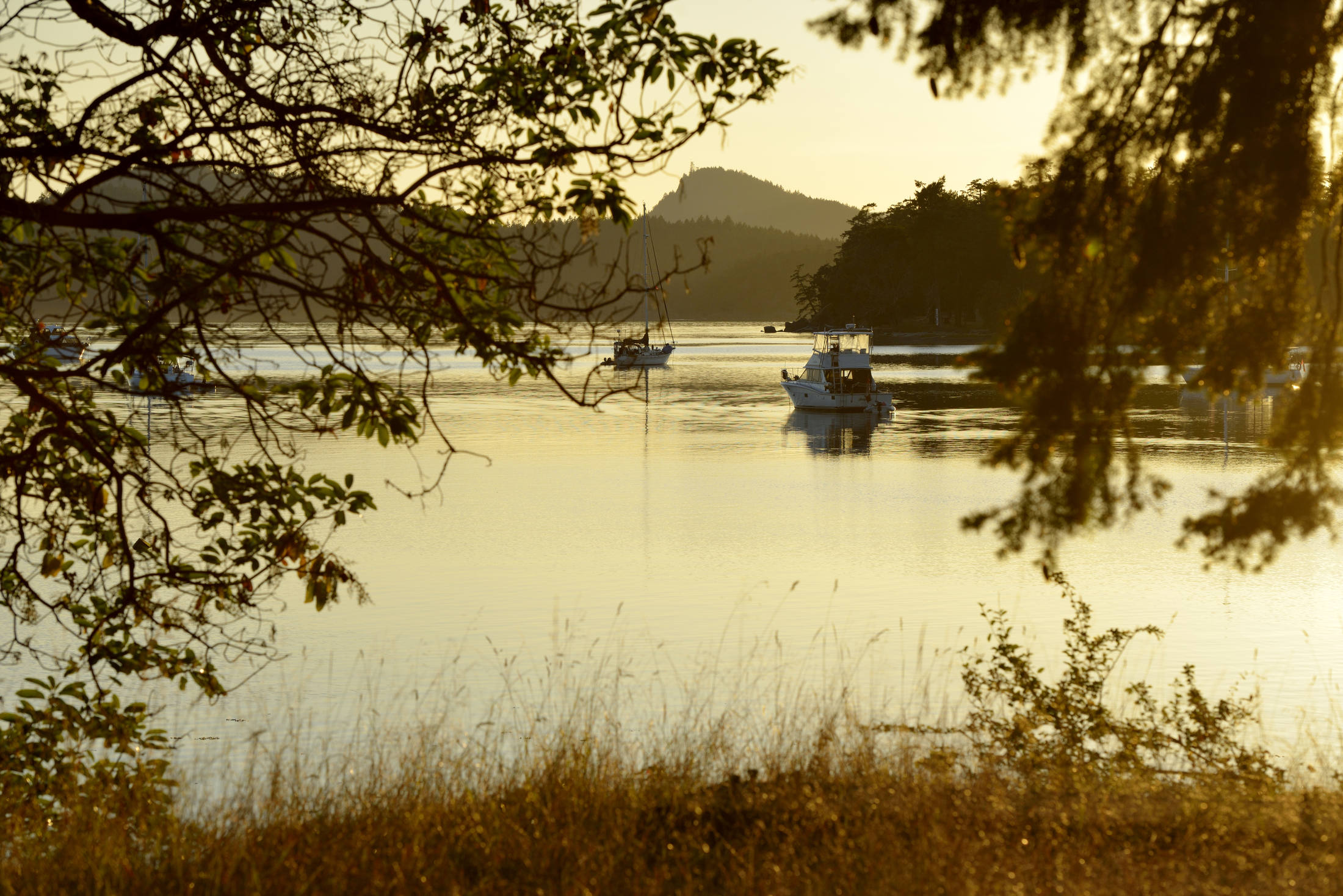 Sunset at Winter Cove