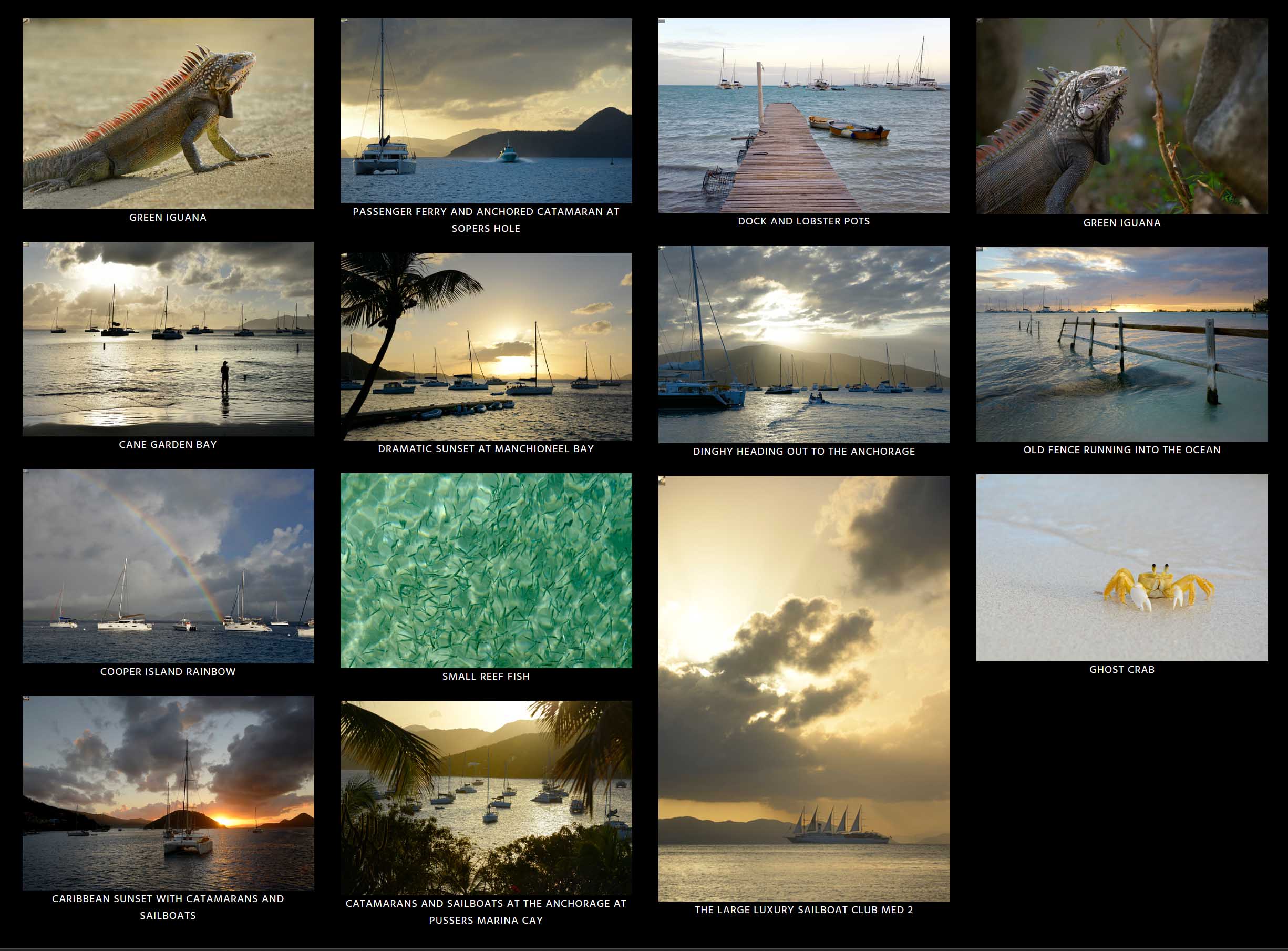 BVI Collection