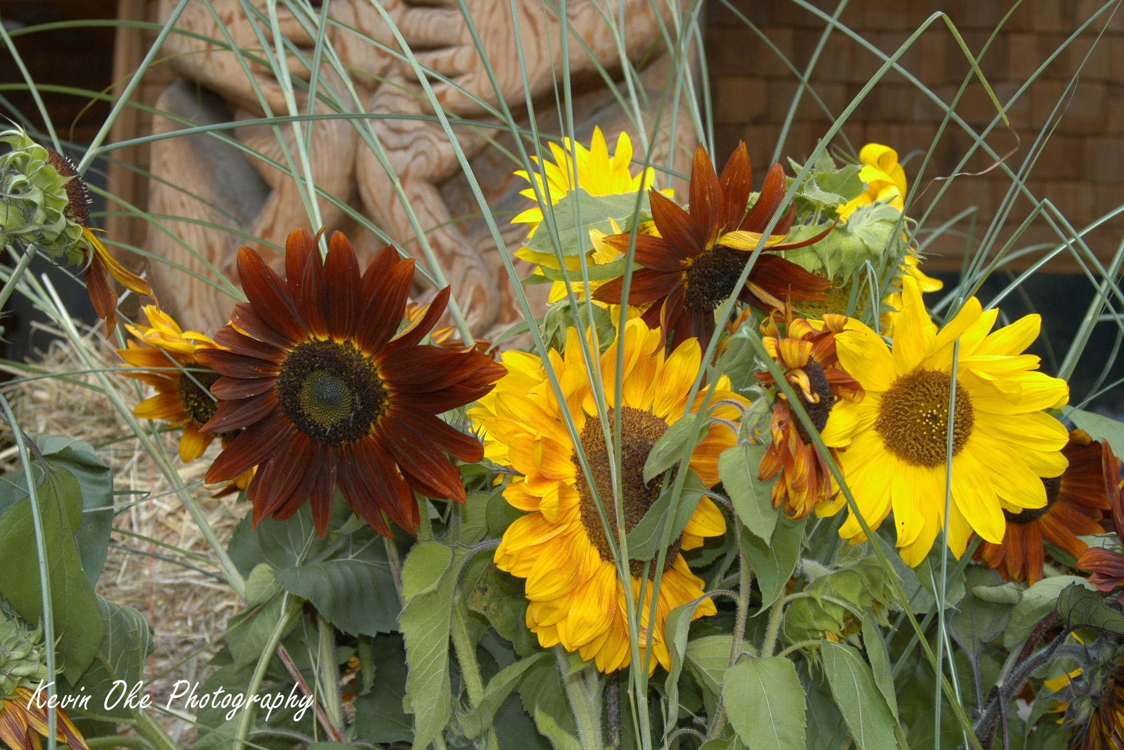 The Pender Island Fall Fair is an annual island event. North Pender Island, British Columbia, Canada