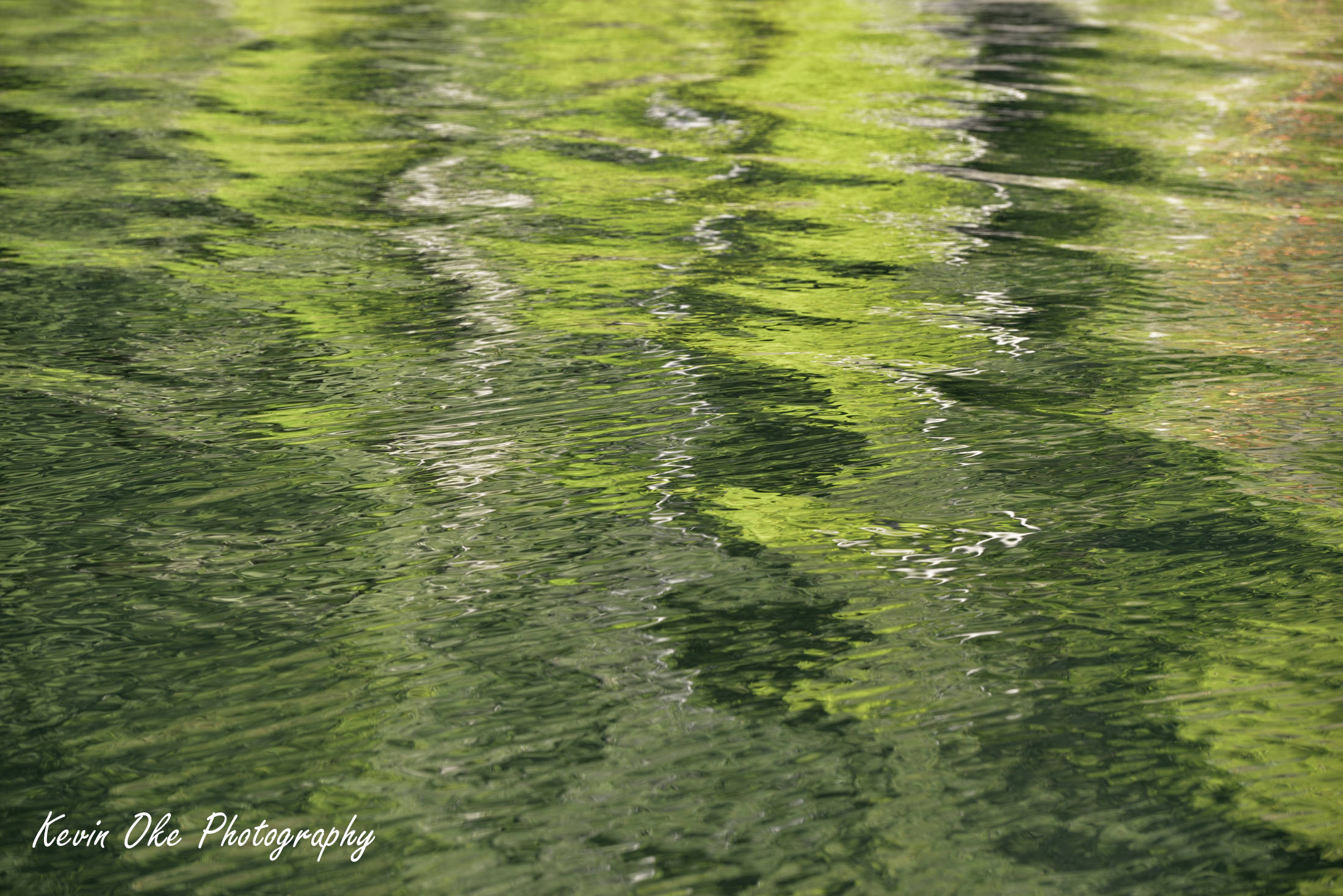 James Bay, Prevost Island, British Columbia, Canada