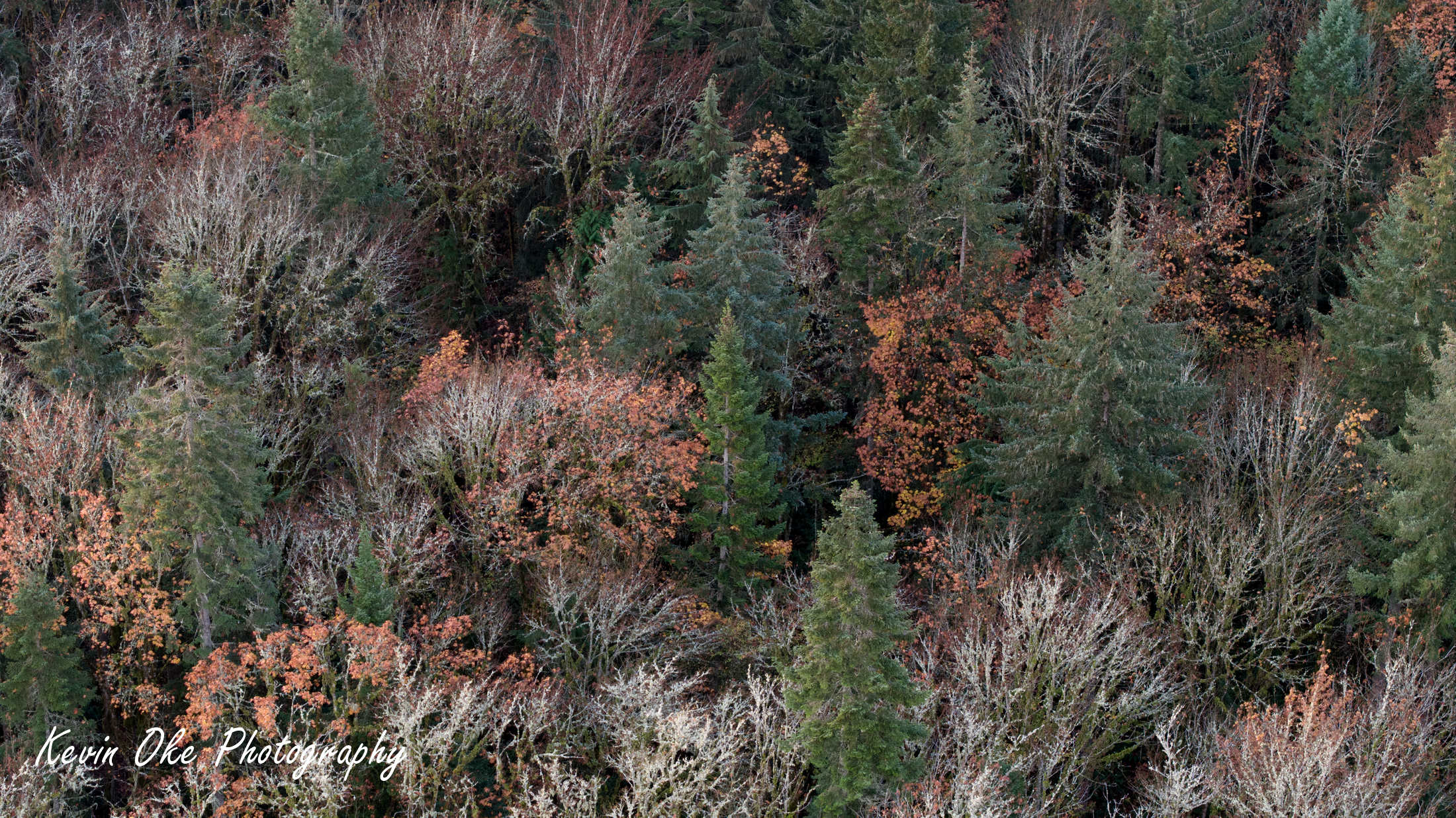 Autumn colours