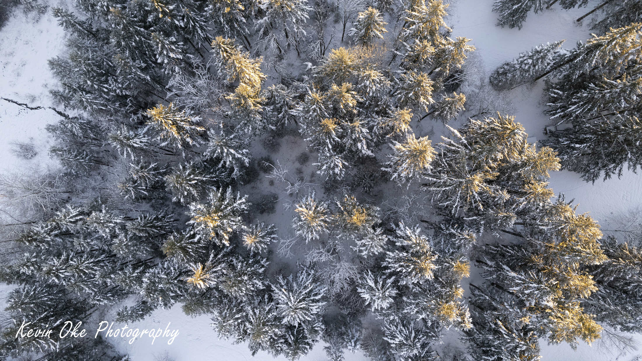 Sunrise on snow covered fir trees