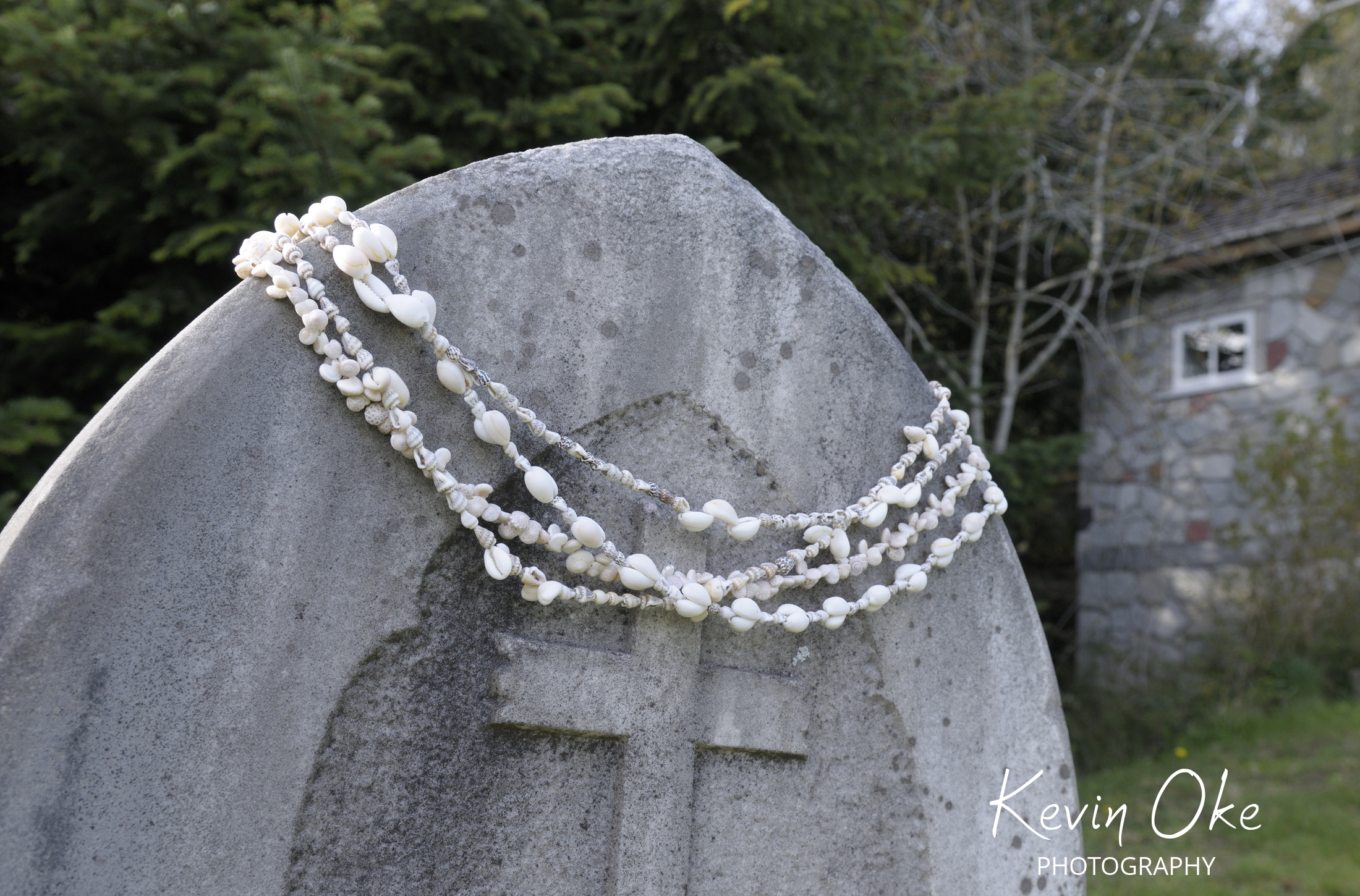 Shells on a tombstone