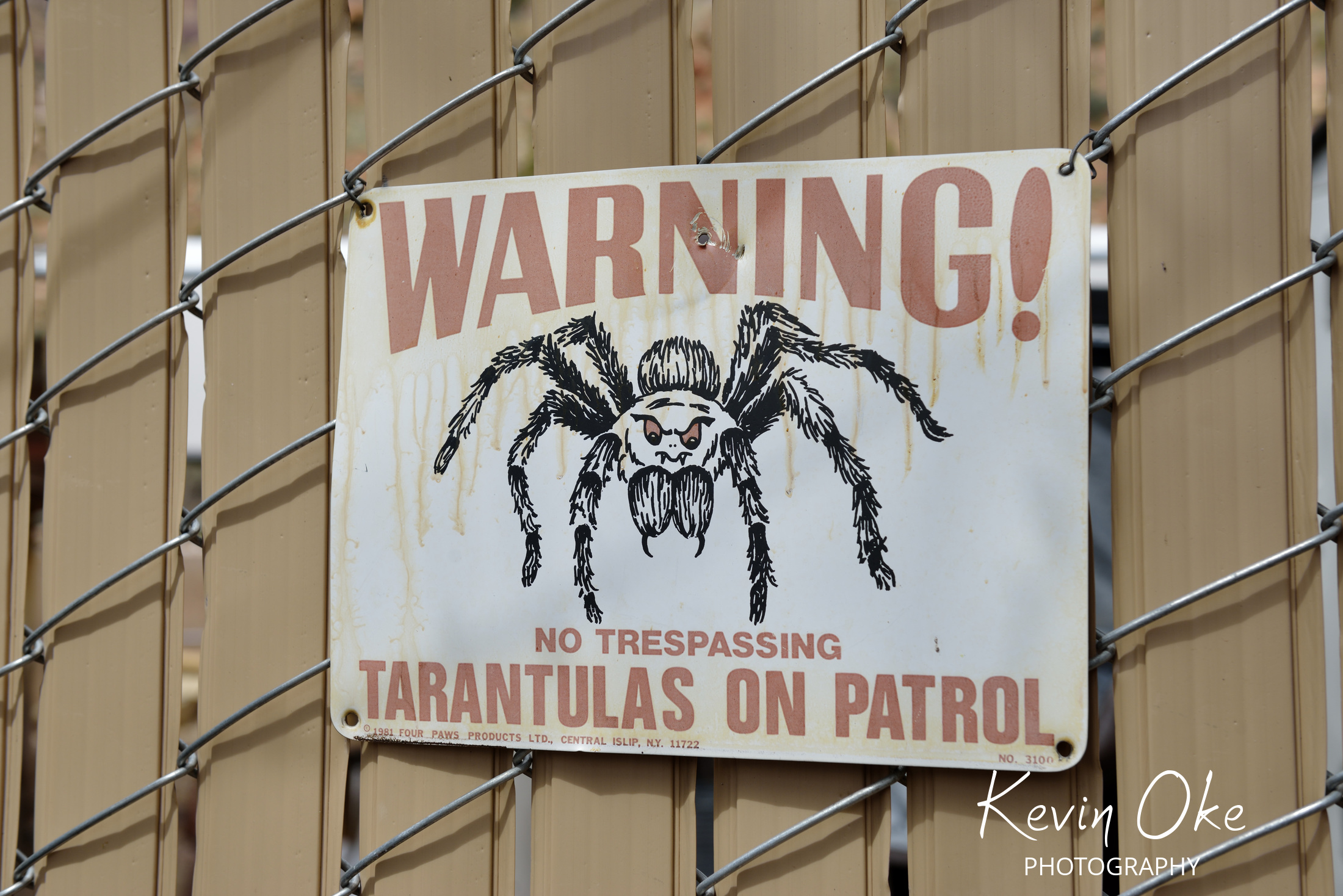Tarantulas on Patrol