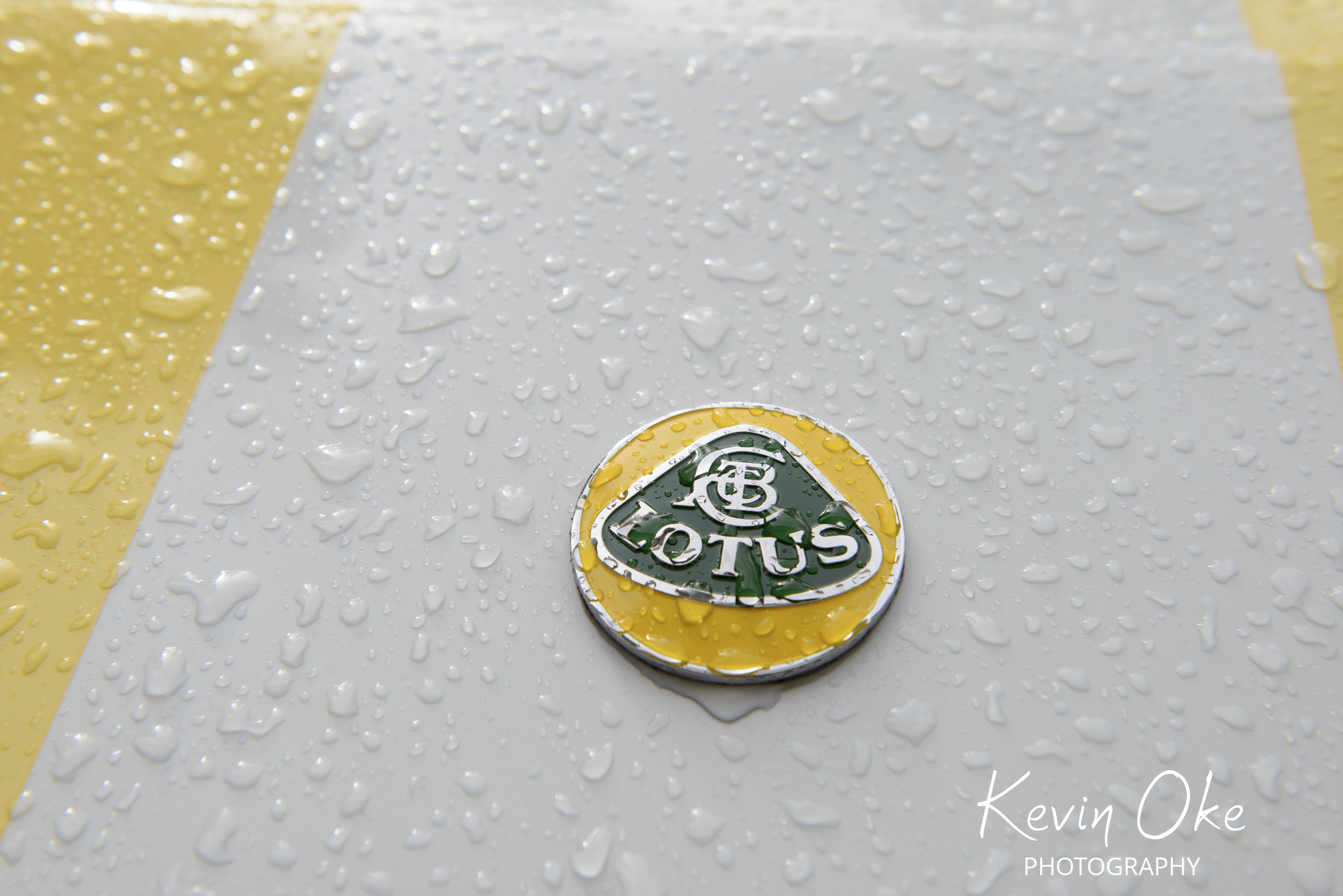 Lotus car emblem