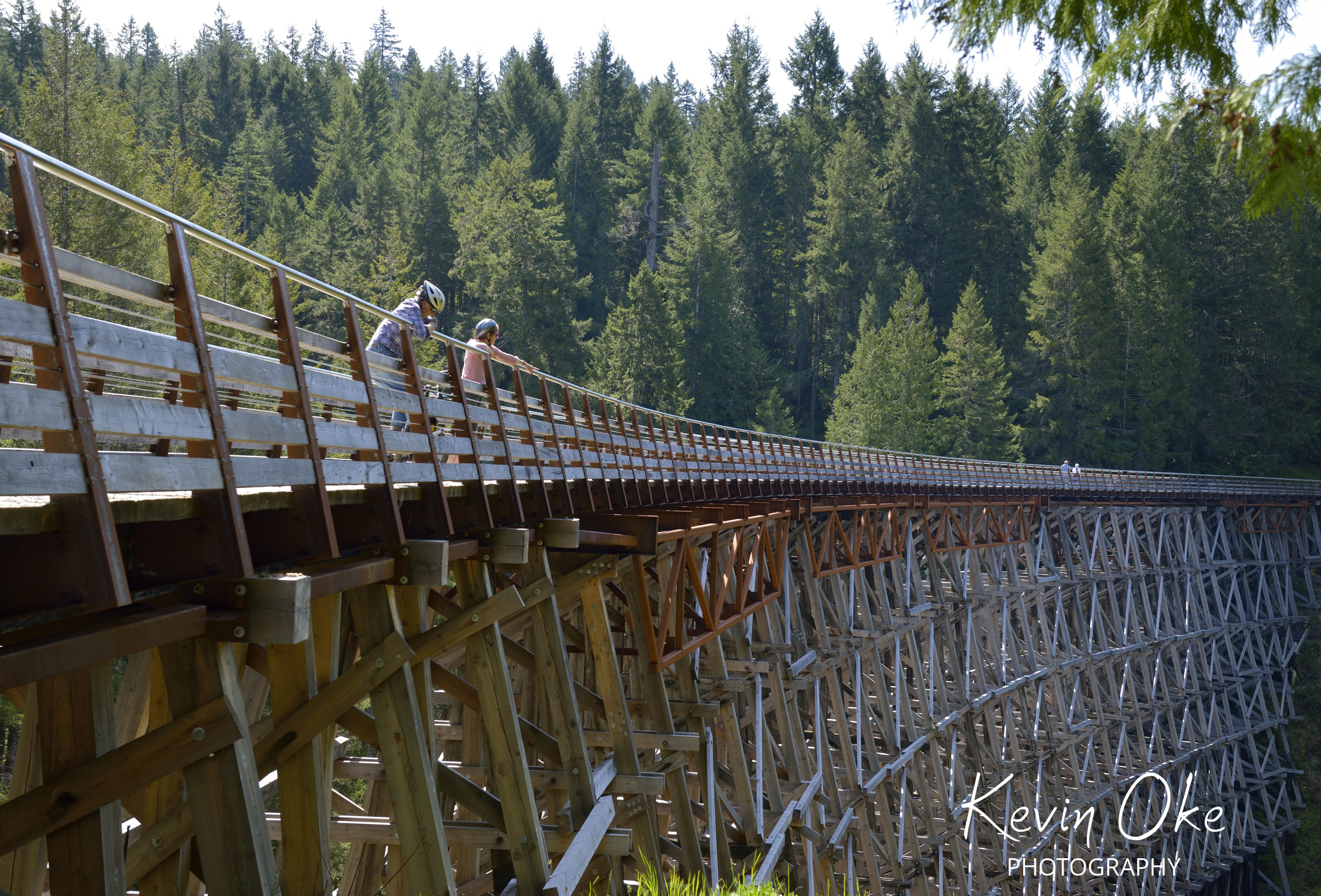 Kinsol Trestle